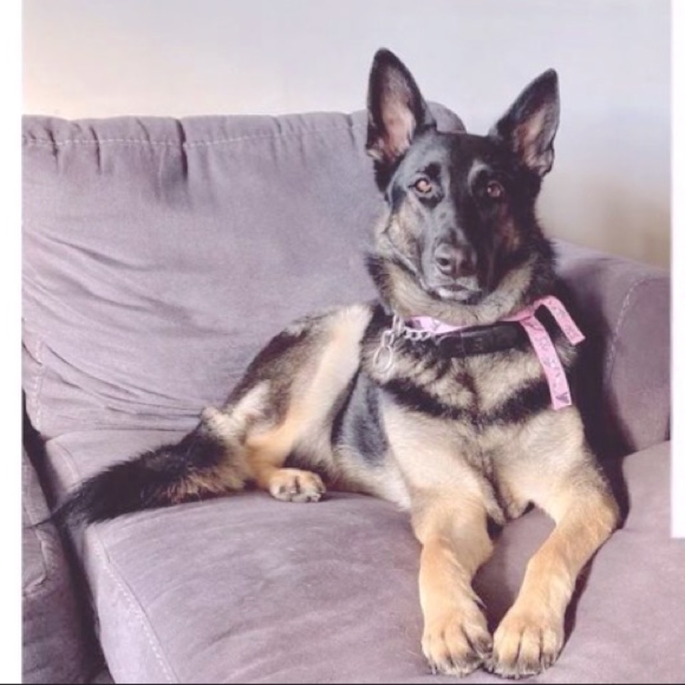 🐝 30% off Bundles of 3 or more items!!